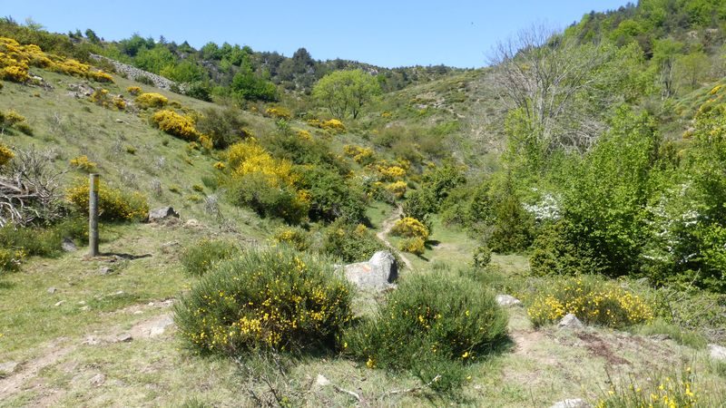 Montée sur Bézuc