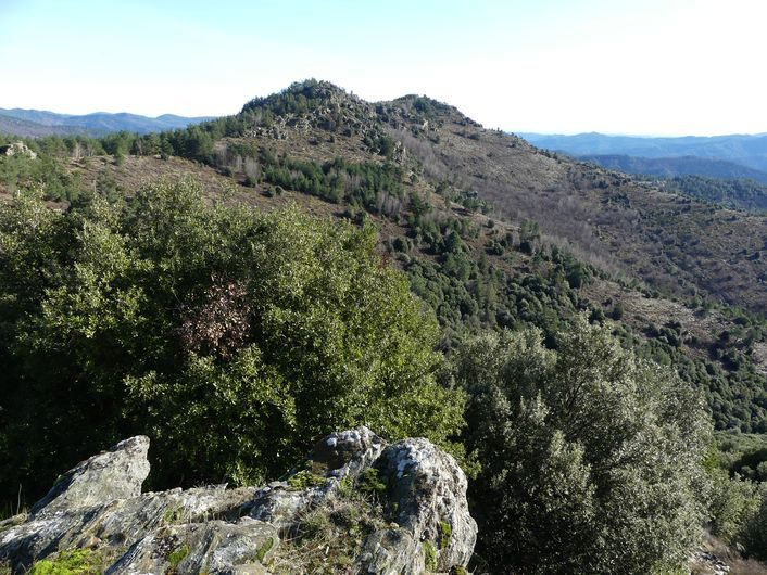 Vue sur l'Aigoual
