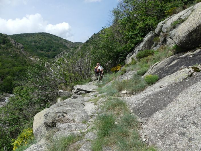 Tourrières