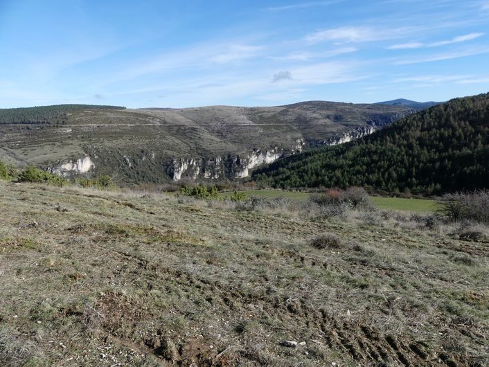 Les gorges de la Jonte