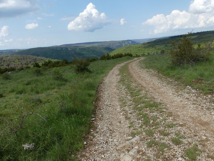 Les gorges de la Jonte