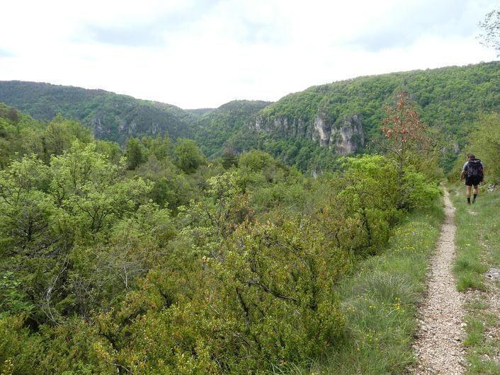 Les Combes de Marty