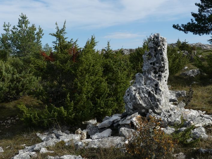 Land art naturel