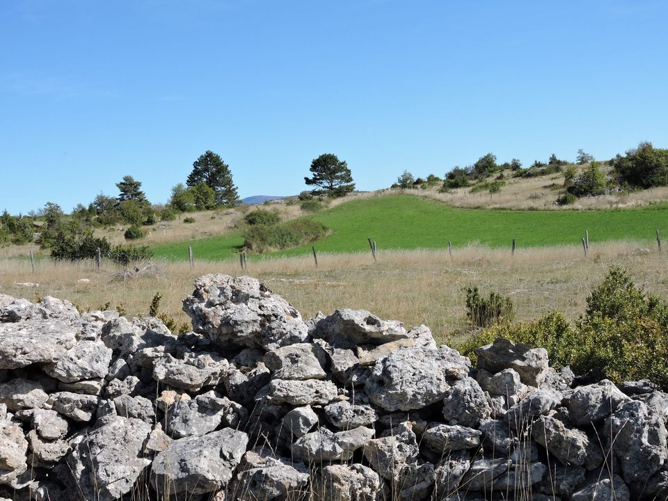 Le causse de Sauveterre