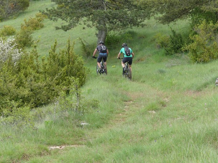 Sauveterre - VTT n°1