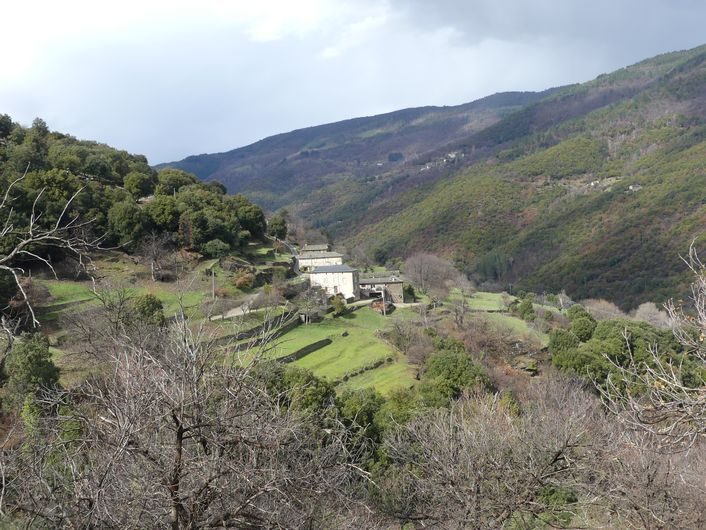 Béal des abrits
