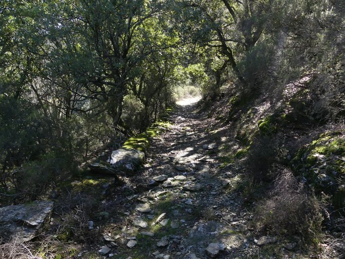 Ancien chemin