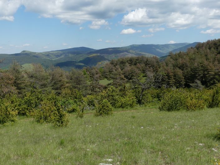 Vue sur le Puech Pounchut