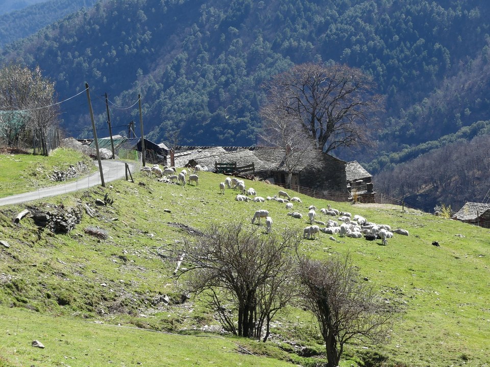 PHOT_Sentier-Moulin-ete_2019©Léa-Rocher (9)