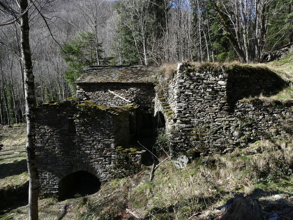 Le Salson