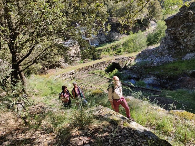 Le sentier du Merlus