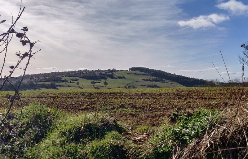 Prairie