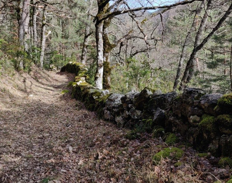 Chemin bâti