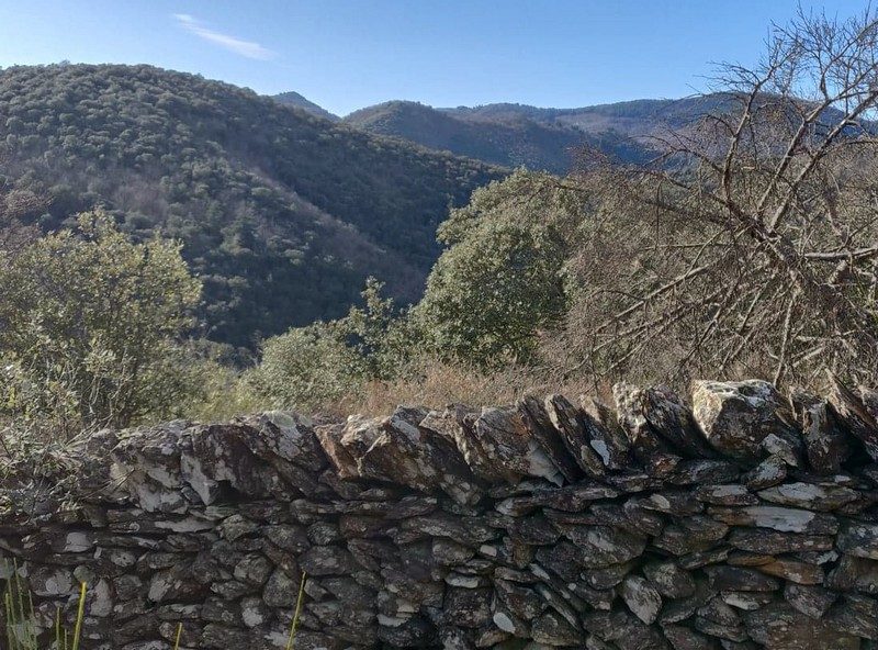 Muret de limite du chemin