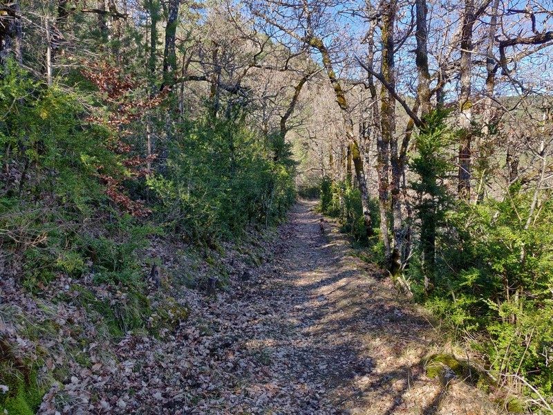 Le magnifique chemin de "traverse"