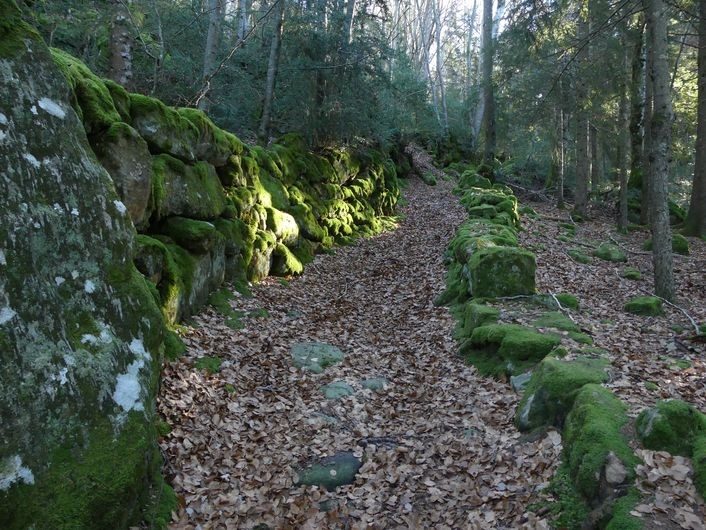 Descente vers Bramabiau