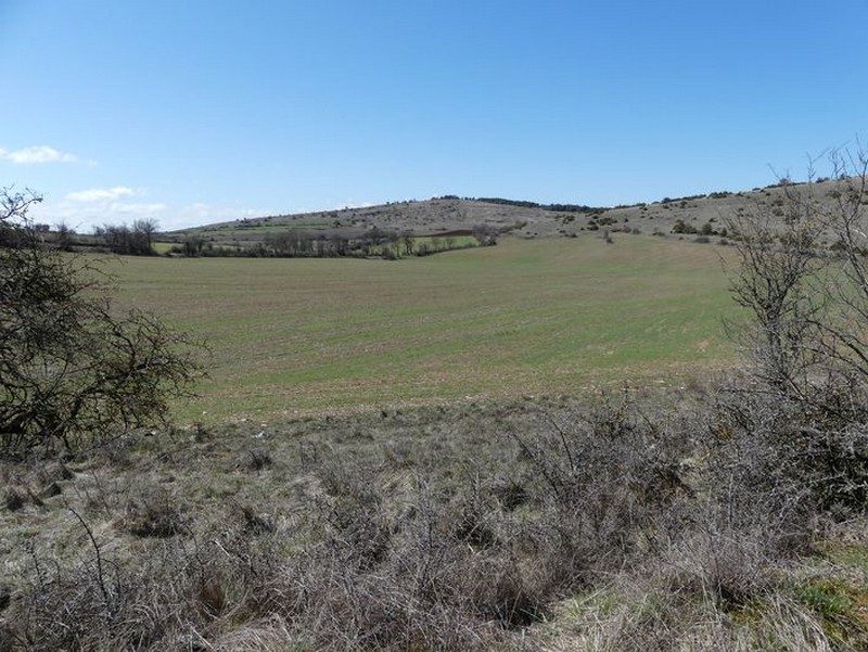 Paysage caussenard