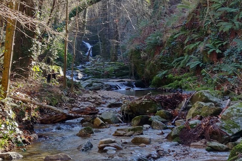 Le ruisseau de Vallongue