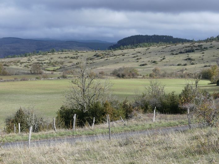 Paysage autour de Chamblon