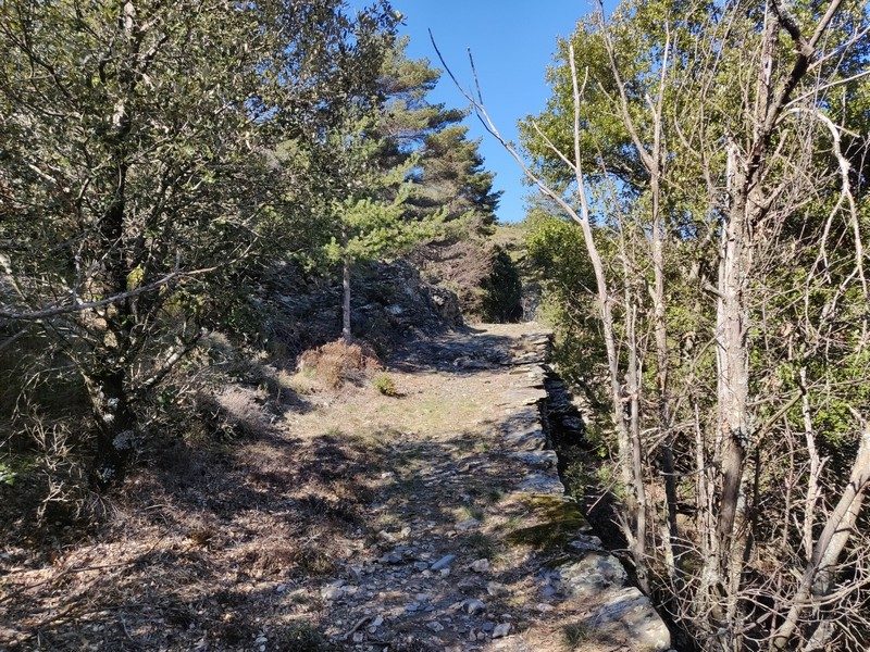 L'ancienne voie de communication entre le village et la route royale