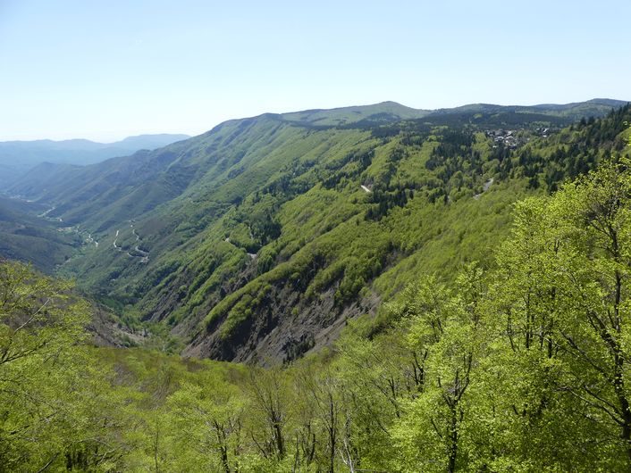 La haute vallée de l'Hérault