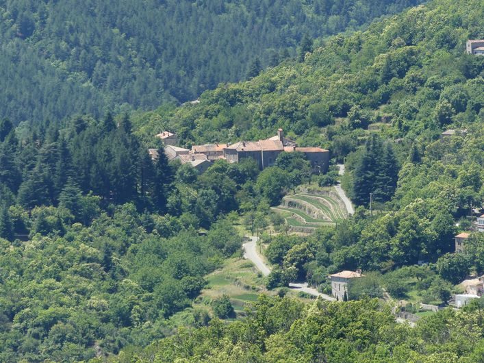 Mandagout