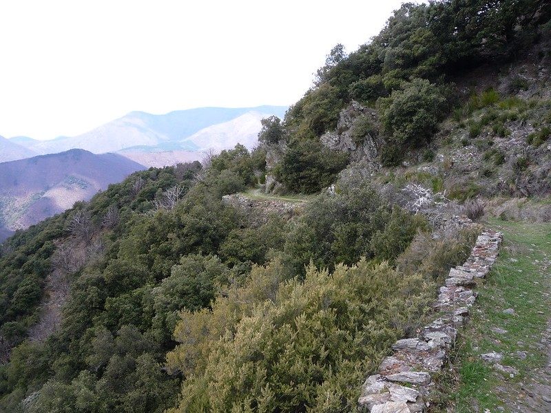 Chemin des chars vers Fenouillet