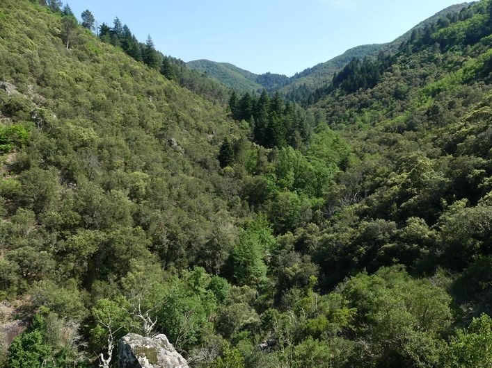 La Vallée de Valescure