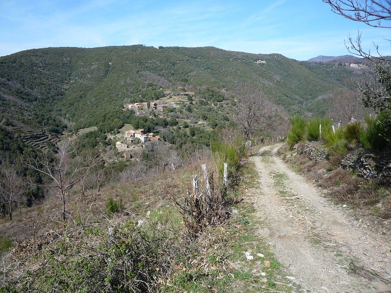 Sur le chemin