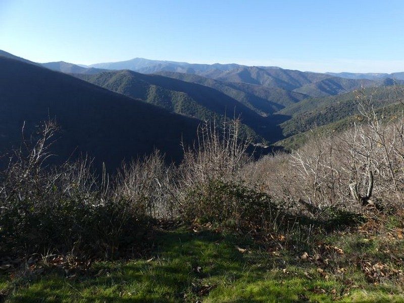 Le Soult