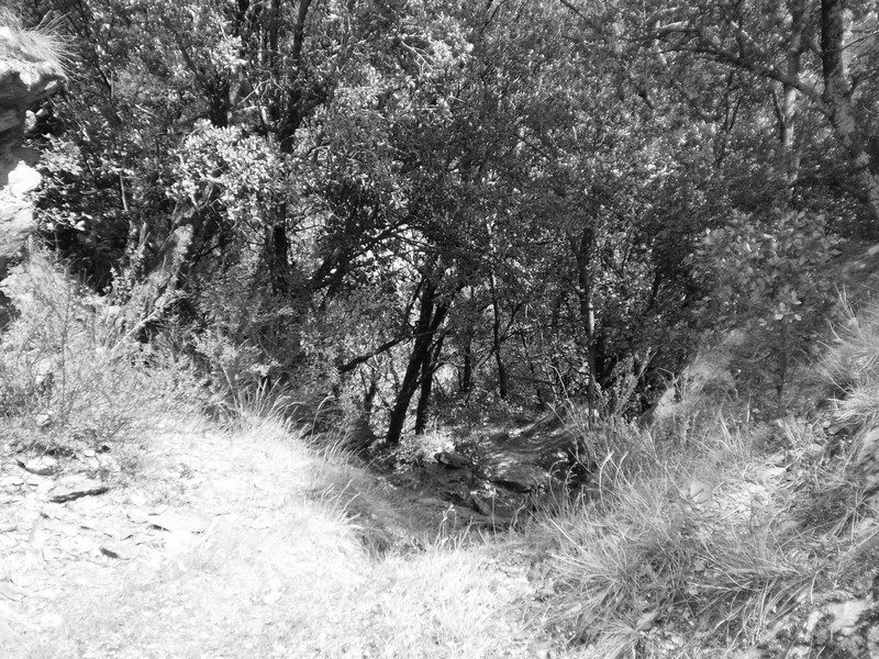 Sentier du Soult