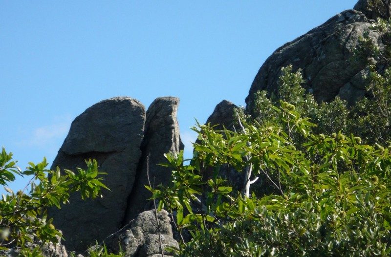 Le sentier