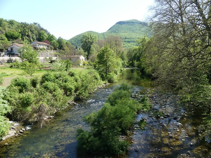 Pont de Mousse