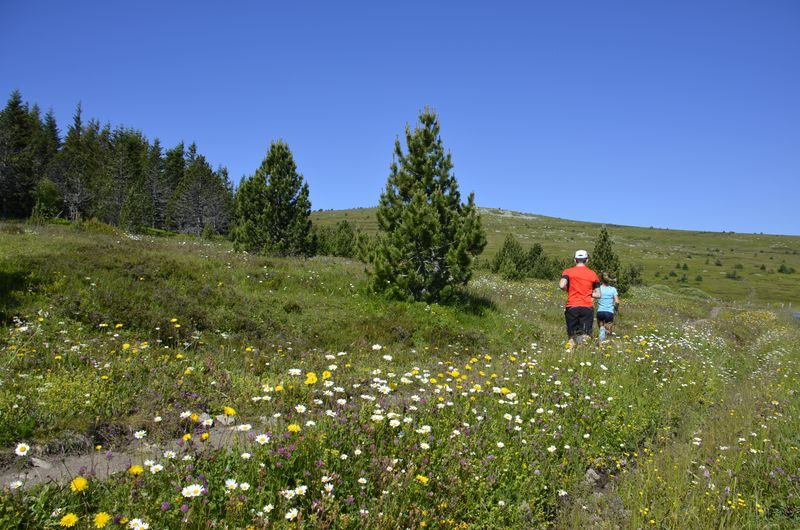 Sommet de Finiels et Pelouse - Trail n°17