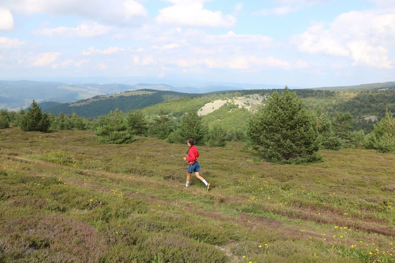 Sur le Mont Lozère