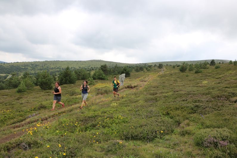 Traileurs au Mont-Lozère
