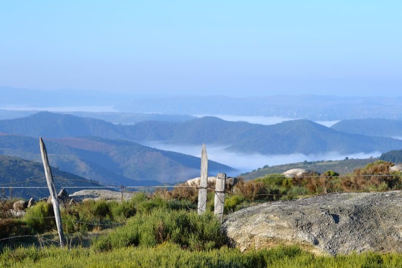 Vue du Mont Lozère
