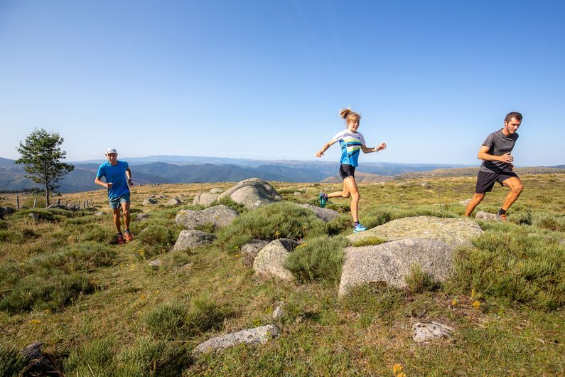 Traileurs sur le Mont Lozère