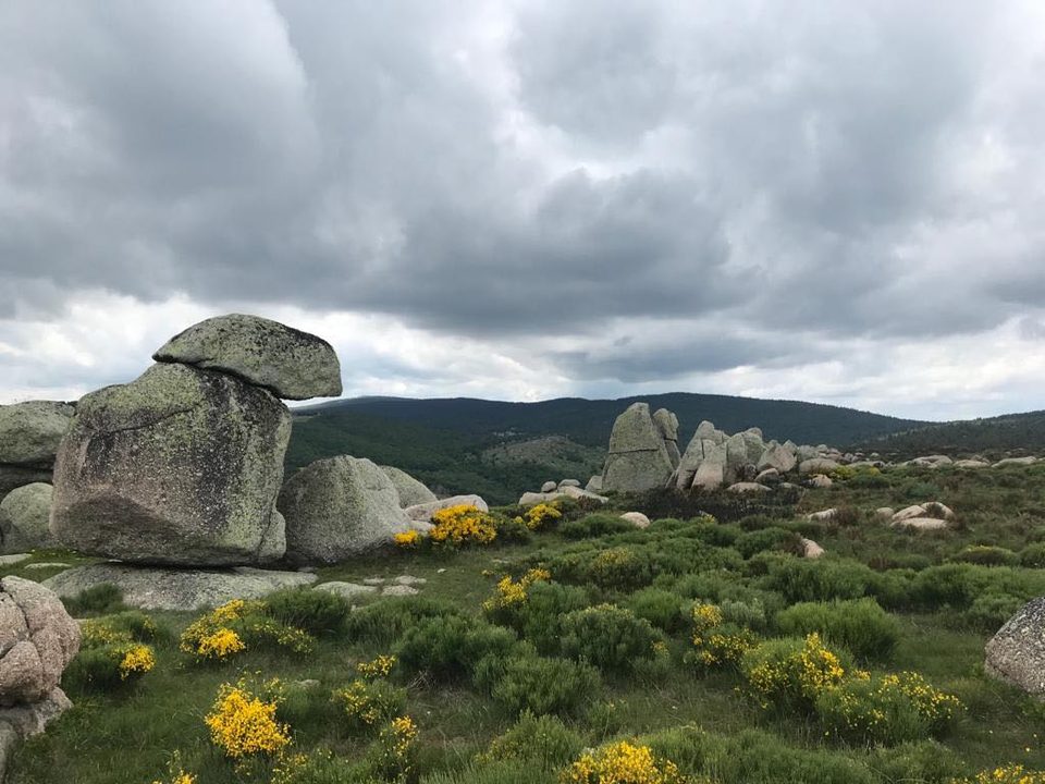 Menhirs sur le Mont Lozère