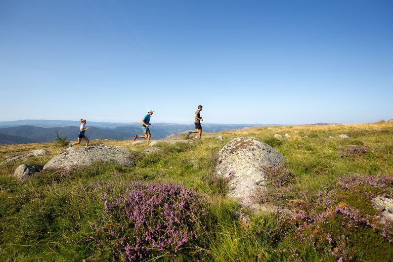 Finiels et Pont du Tarn - Trail n°25