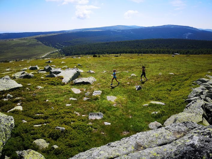 Traileurs sur le Mont Lozère