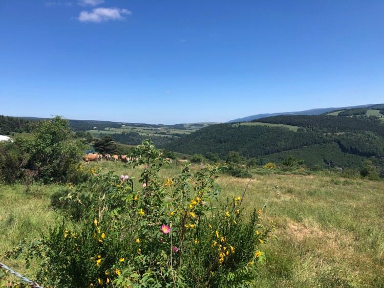 Vue sur le Mont Lozère