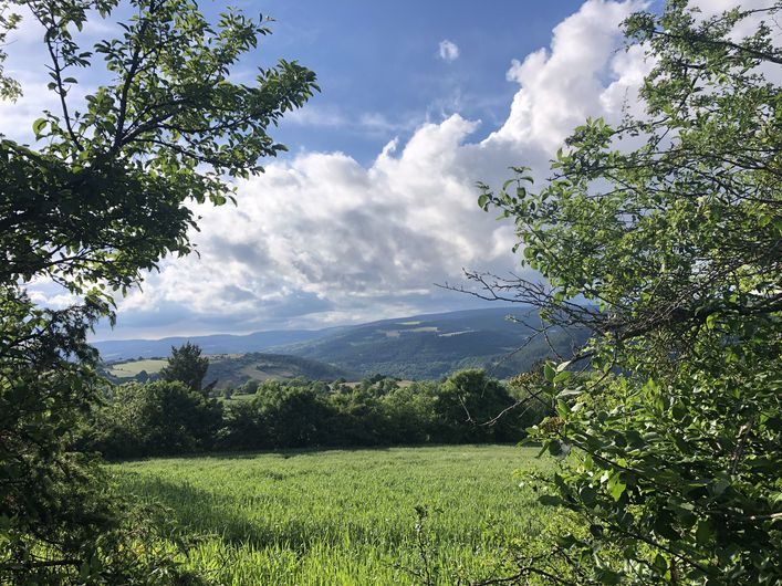 Paysage de la Vallée du Lot