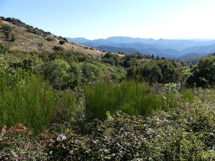 Vue depuis Serre de Naves