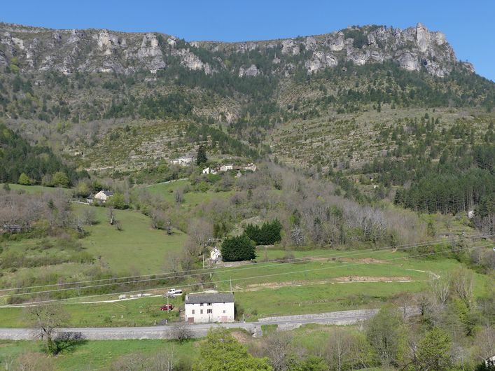 Viala de Grimoald