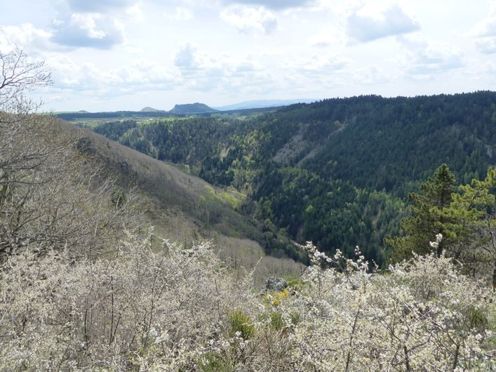 Gorges du Bramont