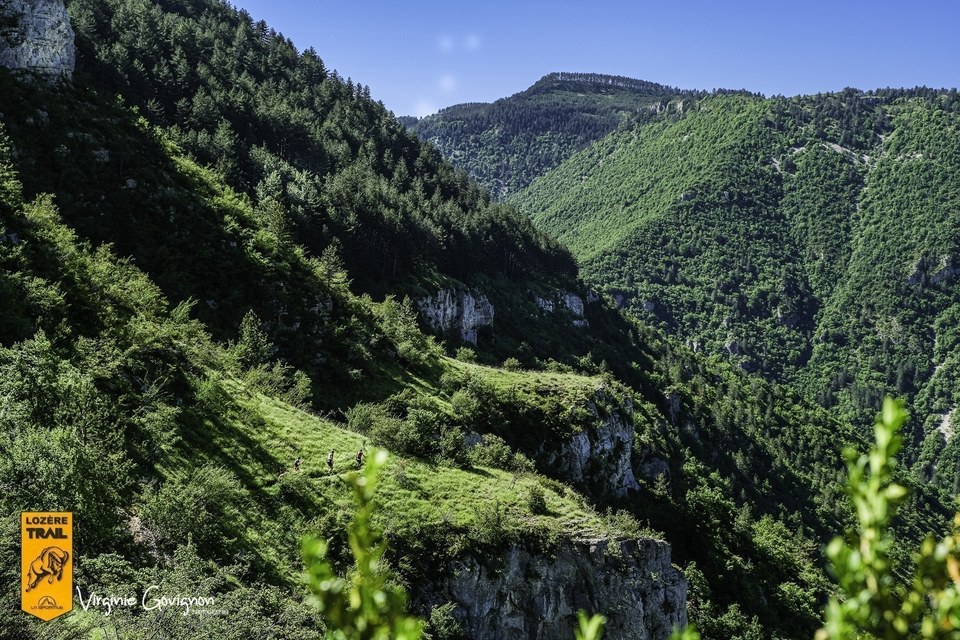 descente dans les Gorges boisées- coureurs de loin