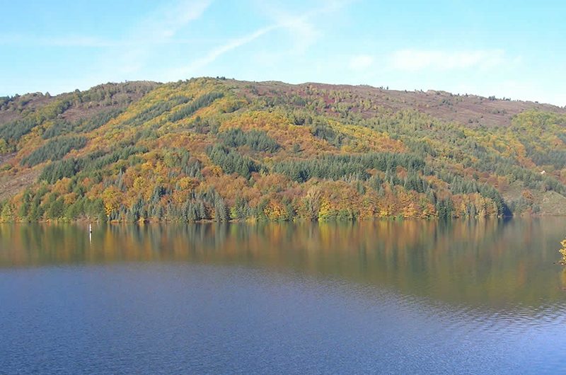 Lac de Villefort