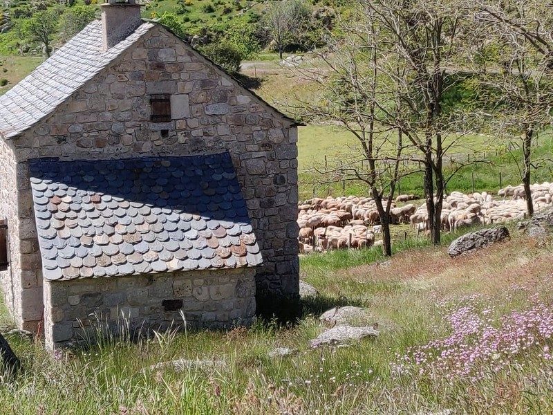 Maison du berger des Laupiettes près de Dourbies
