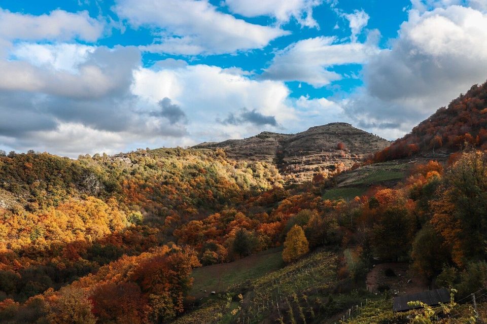 Petit tour du Causse Noir - Trail n°23